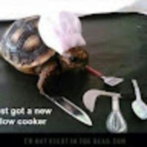 Meet your Posher, Nathan